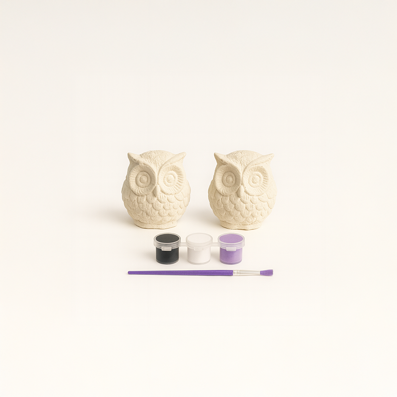 Sevimli Baykuş Beton Taş Boyama Seti