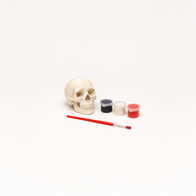 Mini Kurukafa Beton Taş Boyama Seti