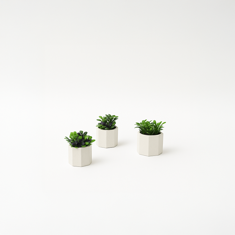 Dekoratif Beton Mini Saksı Set